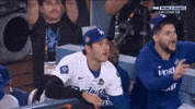 World Series GIF by MLB