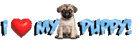 My Pet Love Sticker