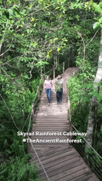Skyrail australia walking walk ranger GIF