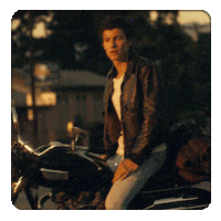 shawnmendes island camila cabello shawn mendes senorita GIF
