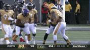 GIF by Minnesota Vikings