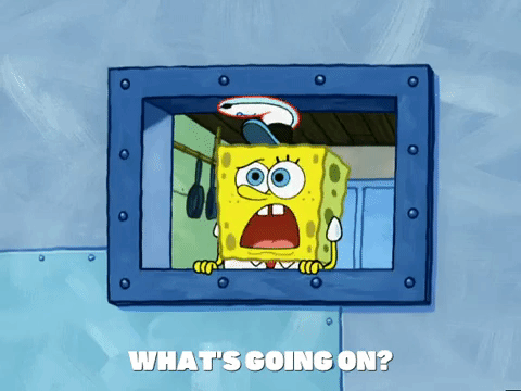 season 5 GIF by SpongeBob SquarePants
