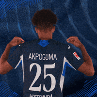 Sport Bundesliga GIF by TSG Hoffenheim