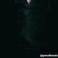 Pokemon Sword GIF by Evan Hilton