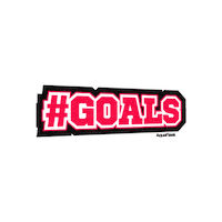 Goals Sticker by AquaFlask