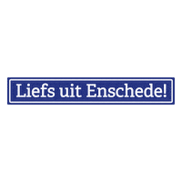 Fc Twente City Sticker by Enschede