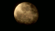 Full Moon GIF