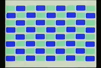 color vhs GIF