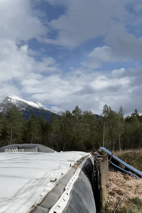 bonebinding giphyupload bone binding backside rodeo crail GIF