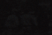 Numberi GIF