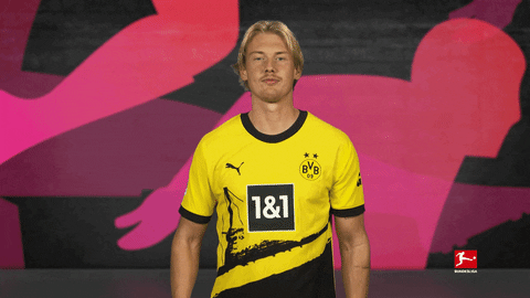 Borussia Dortmund Football GIF by Bundesliga