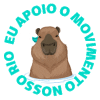 unimedblumenau blumenau nosso rio rio itajai açu nossorioblumenau Sticker