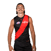 Football Sport Sticker by Essendon FC