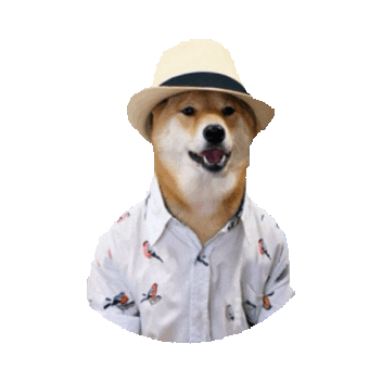 summer beach STICKER by imoji
