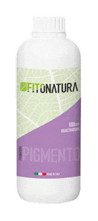 Pigmento Sticker by pasaddak.agro