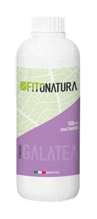 Galatea Sticker by pasaddak.agro