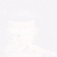 Mark Syma GIF