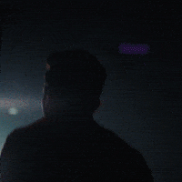 Entretenimiento Bailarin GIF by Palladium Hotel Group