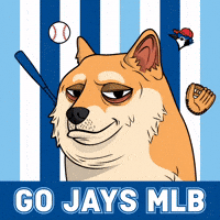 Shiba Inu Dog GIF by Doge Pound