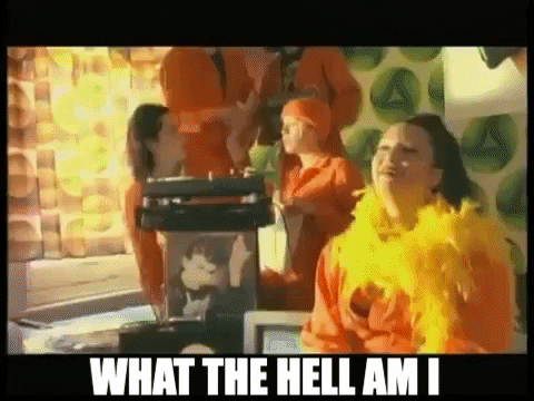 donnachaidhachionnaigh giphygifmaker GIF