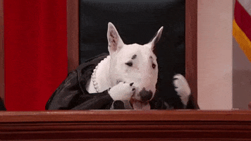 funny dogs justice john oliver supreme court GIF