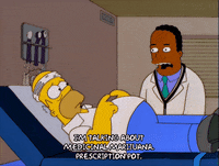 homer simpson GIF