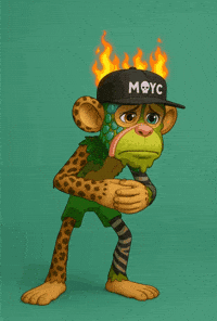 Bro What GIF by Boring Merch