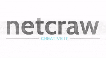 netcraw logo netcraw netcrawit GIF