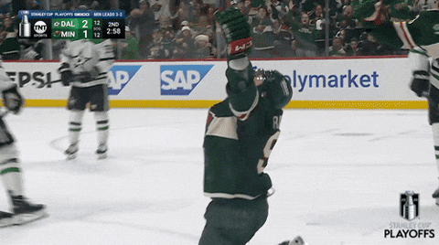 Happy National Hockey League GIF by NHL