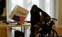 South Carolina Haley GIF
