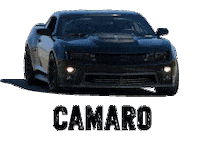 ram STICKER