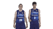 Liga Endesa Dancing Sticker by ACB