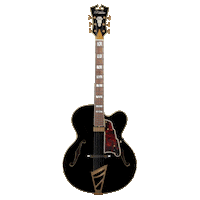 Guitar Dangelico Sticker by Tarara