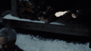 michael scofield fox GIF by Prison Break