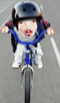 Laugh Bike GIF