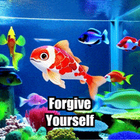 Wisdom Forgive Yourself GIF by TheConfishius