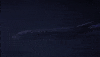 airplane movie GIF