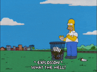 homer simpson GIF