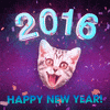Celebrate New Year GIF by TJ Fuller
