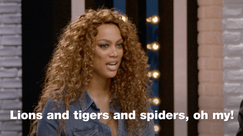 lions and tigets and spiders oh my GIF by America's Next Top Model