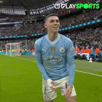 Premier League Football GIF by Play Sports