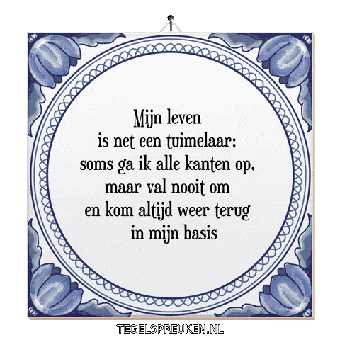 Focus Nl Sticker by Tegelspreuken.nl