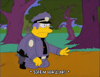 homer simpson GIF