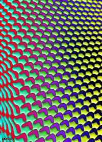 art geometry GIF by Michel Poisson