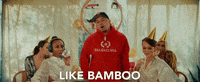 p_lo bamboo bay area plo bamboozled GIF