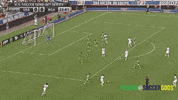jacksonville send off series GIF by Fusion