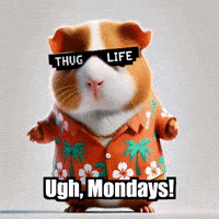 Tired Mondays GIF by Guinea Gambino
