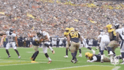 Regular Season Football GIF by NFL