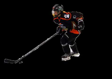 hockey skating GIF