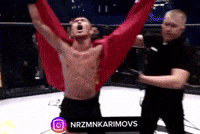 Ufc Marsel GIF by Customize iT